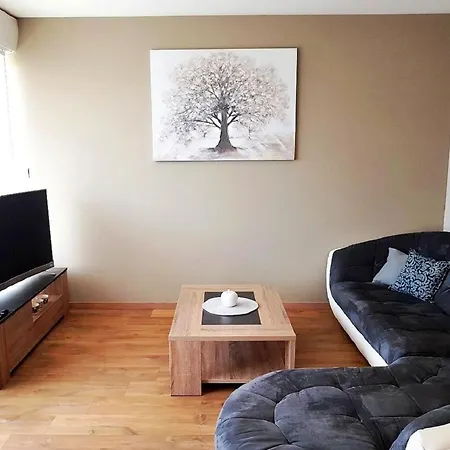 Appartement Cosy Et Chaleureux *